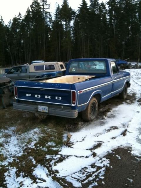 ford13.jpg