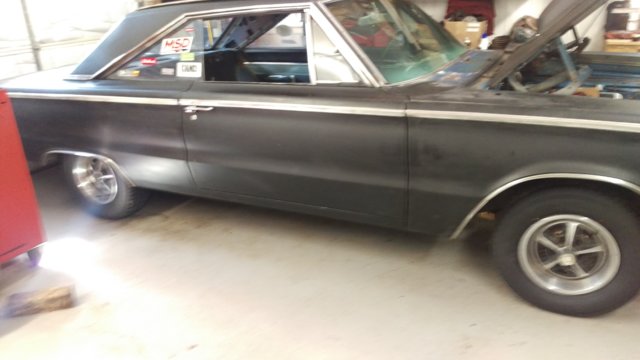 IMAG0017.jpg
