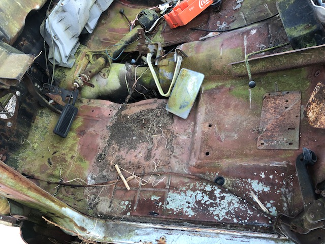 image11.jpeg