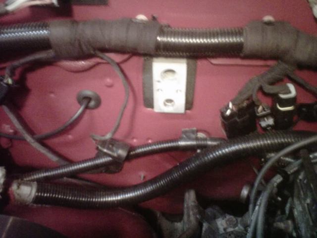 IMG01016-20111010-2249.jpg