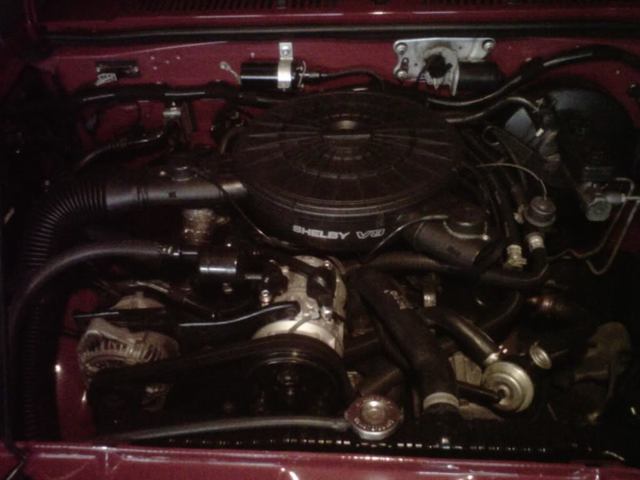 IMG01051-20111020-2147.jpg