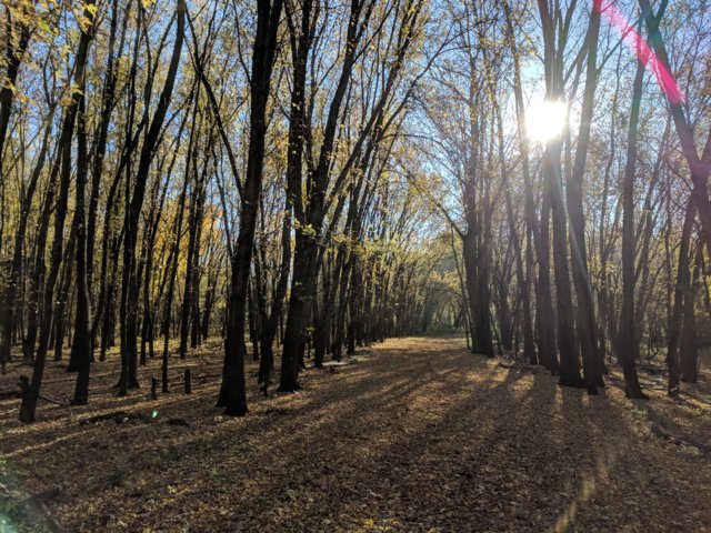 IMG_20171022_160905.jpg