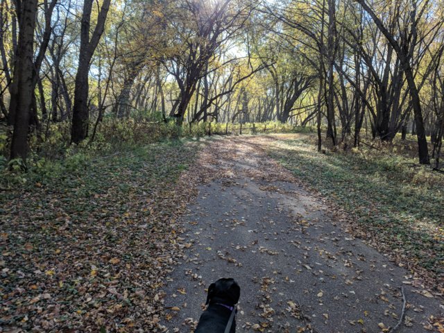 IMG_20171022_161009.jpg