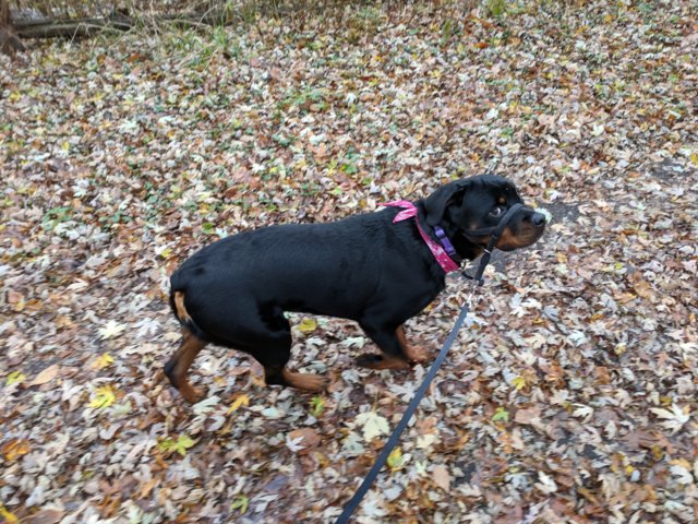 IMG_20171030_122157.jpg