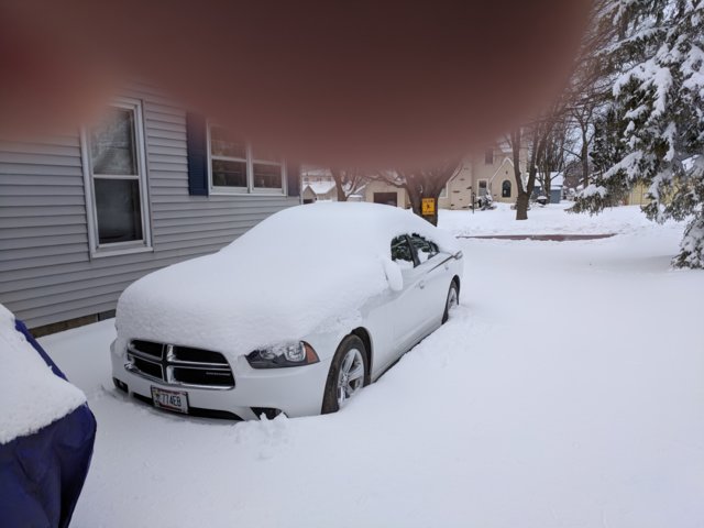 IMG_20180324_143306.jpg