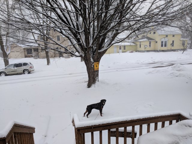 IMG_20180408_145429.jpg