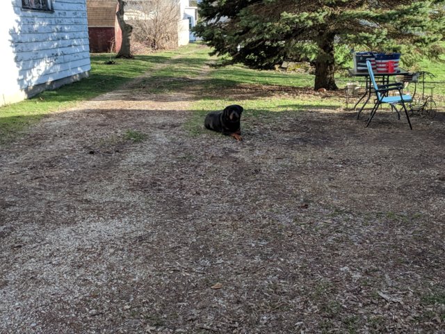 IMG_20190418_182042.jpg