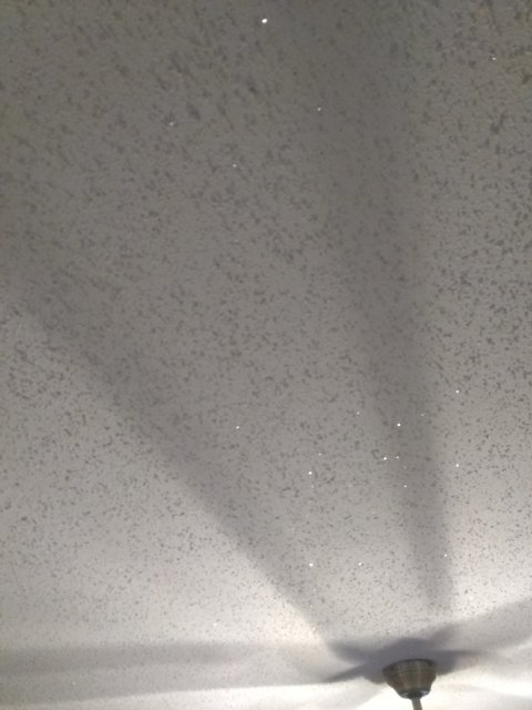 IMG_20200313_193632502.jpg