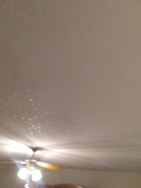 IMG_20200313_195617075.jpg