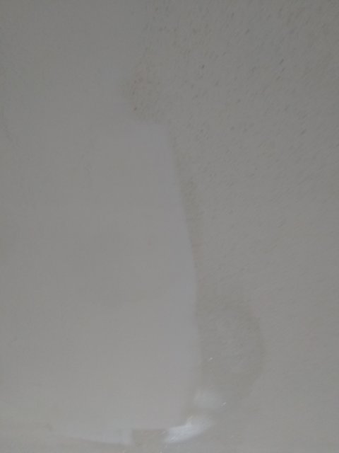 IMG_20200314_114515176.jpg