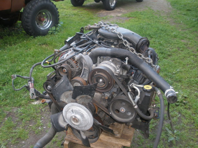 magnum 318.jpg