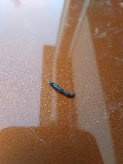 nail from tire.jpg
