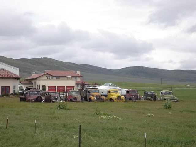 Newchip2010002-1.jpg