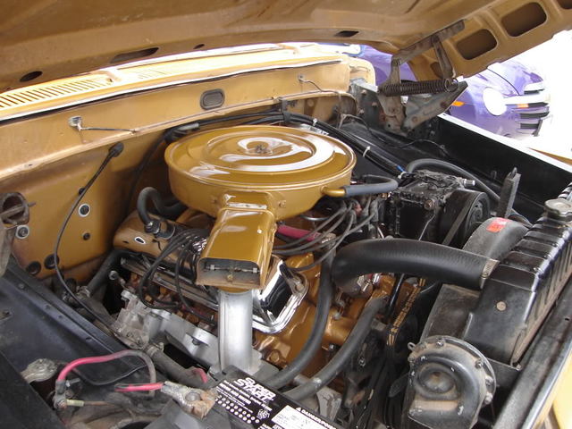 Newchip2010252.jpg