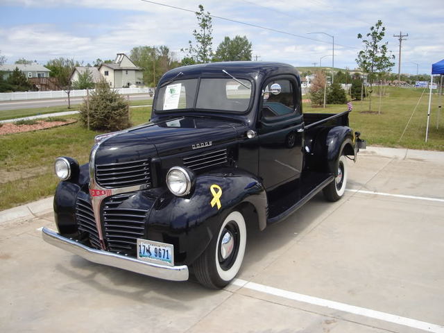 Newchip2010258.jpg
