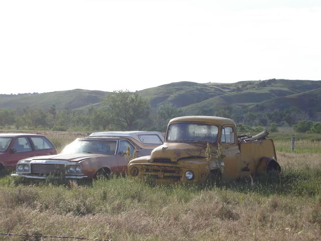 Newchip2010357.jpg