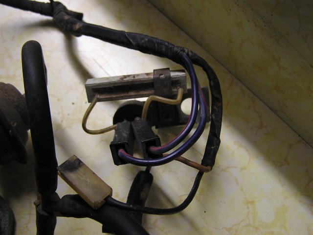 P1010010.JPG