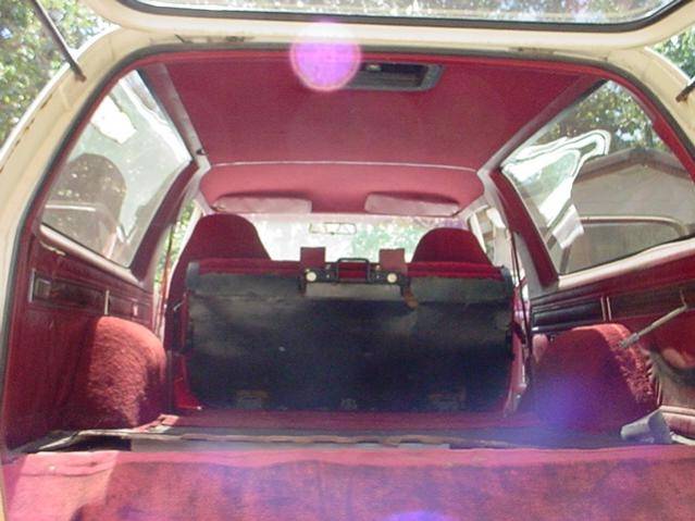 PEACH%20ORCHARD%202010%20ramcharger%20038.jpg