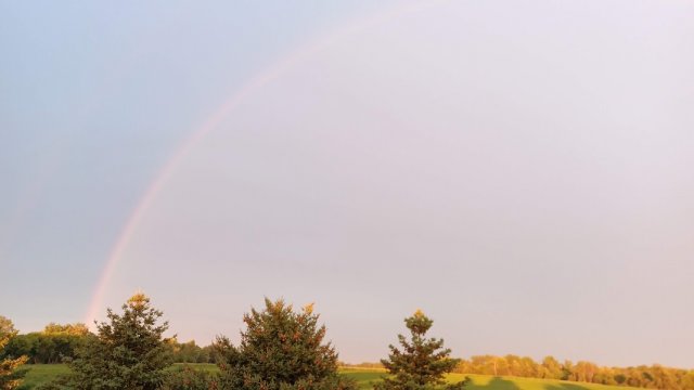 Rainbow 1.jpg