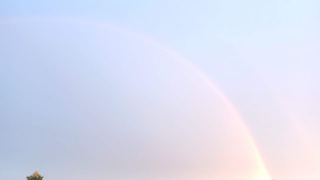 Rainbow 3.jpg