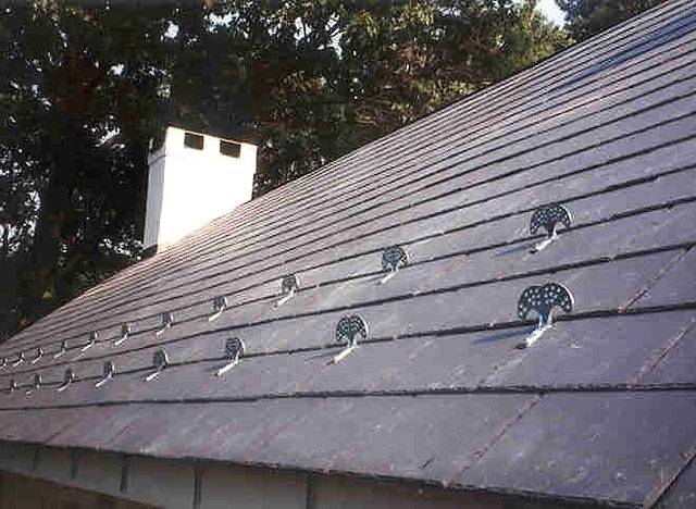 roof20.jpg