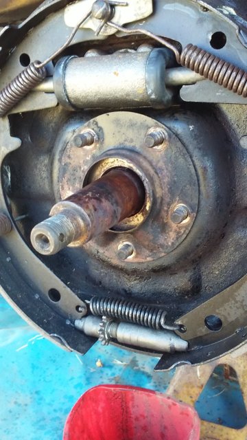 sealwheelrt.jpg
