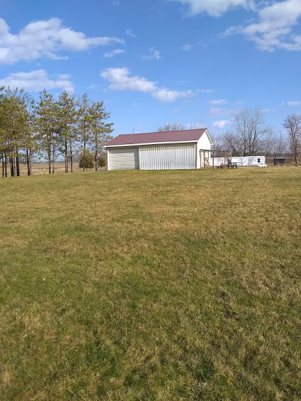 Shed 1.jpg