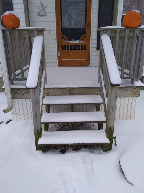 snow 1.jpg