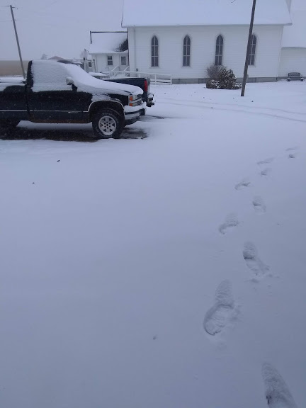 snow 2.jpg
