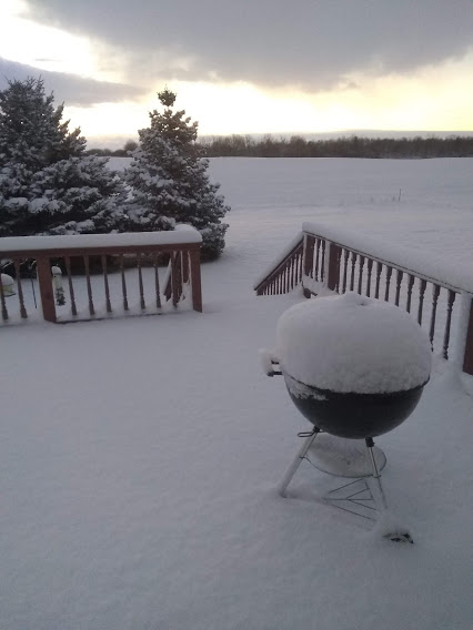 snow 4-1.jpg
