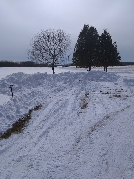 snow1.jpg