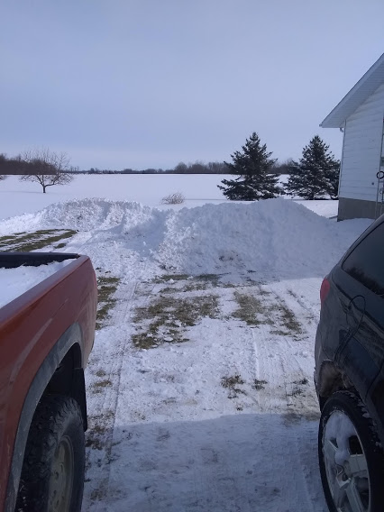 snow2.jpg