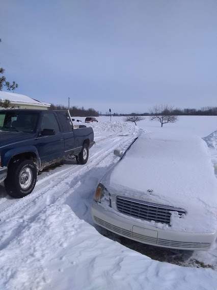 snow3.jpg
