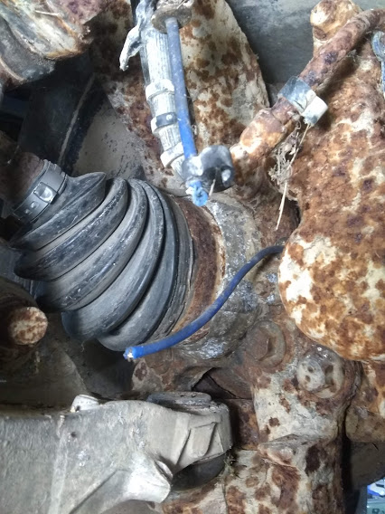 wire chew.jpg