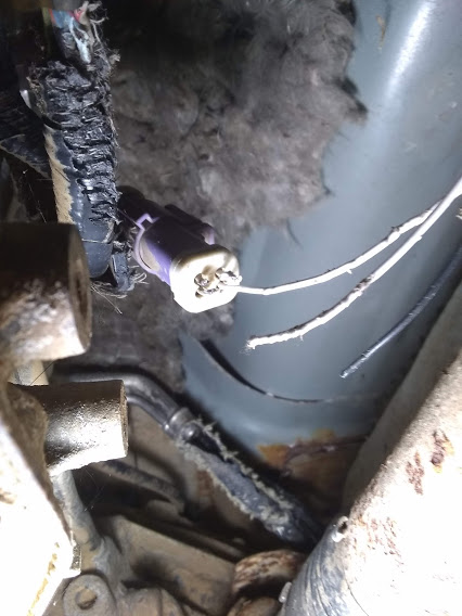 wire chew1.jpg