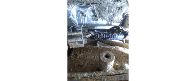wire chew3.png