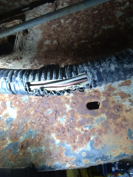 wire chew6.jpg