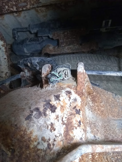 wire chew7.jpg