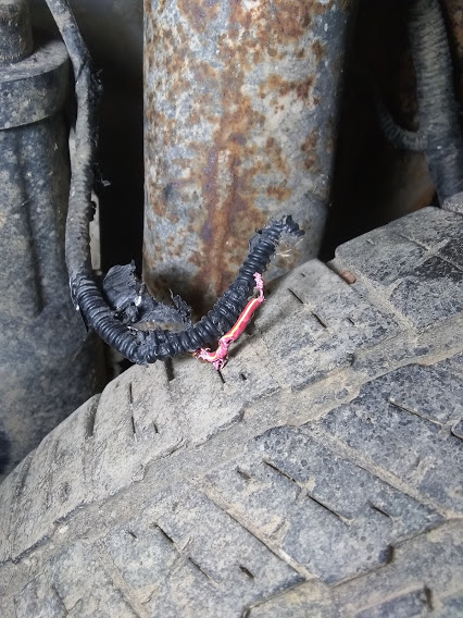 wire chew8.jpg