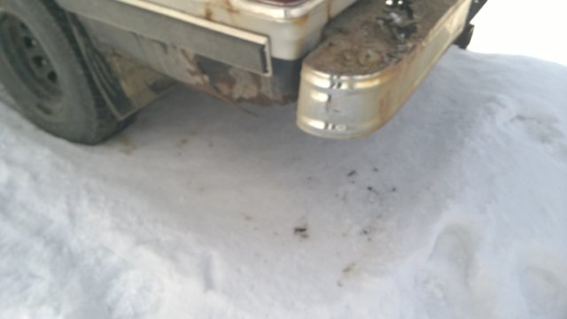 WP_20180218_11_32_13_Pro.jpg