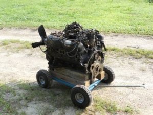 318 on dolly.jpg 318 on dolly.jpg