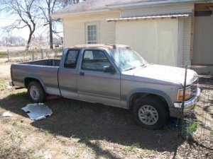 100_2218.jpg 100_2218.jpg