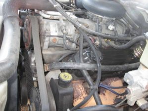 IMG_1818.jpg
