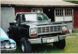 81 Ram(small).jpg