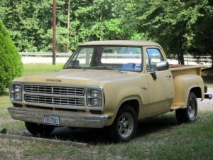 IMG_1813.jpg IMG_1813.jpg