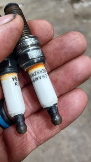 Spark plugs 2.jpg