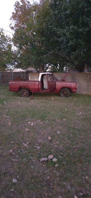 20251105_174811.jpg