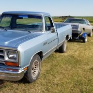 barnfind