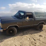 greygoat86